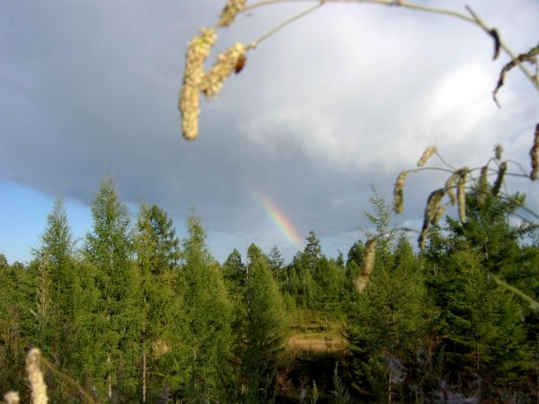 ��� ��� ������� ������... (2)